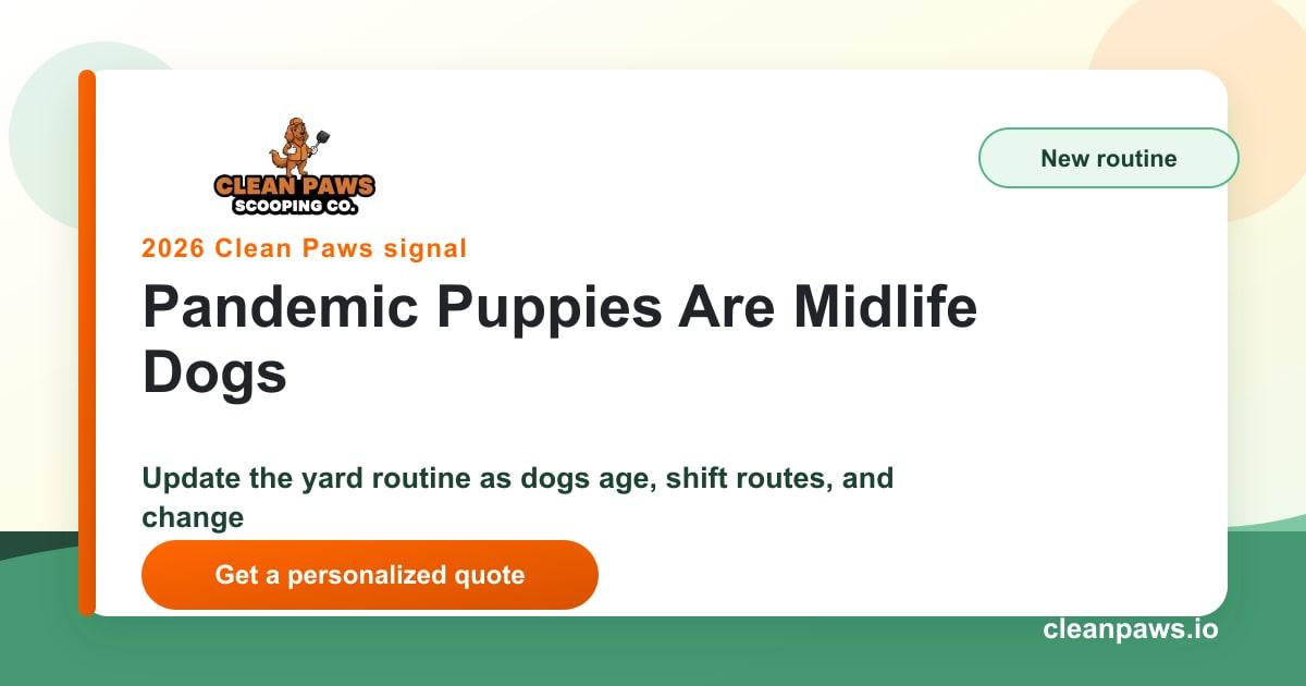 Pandemic puppies midlife dog yard routine guide from Clean Paws